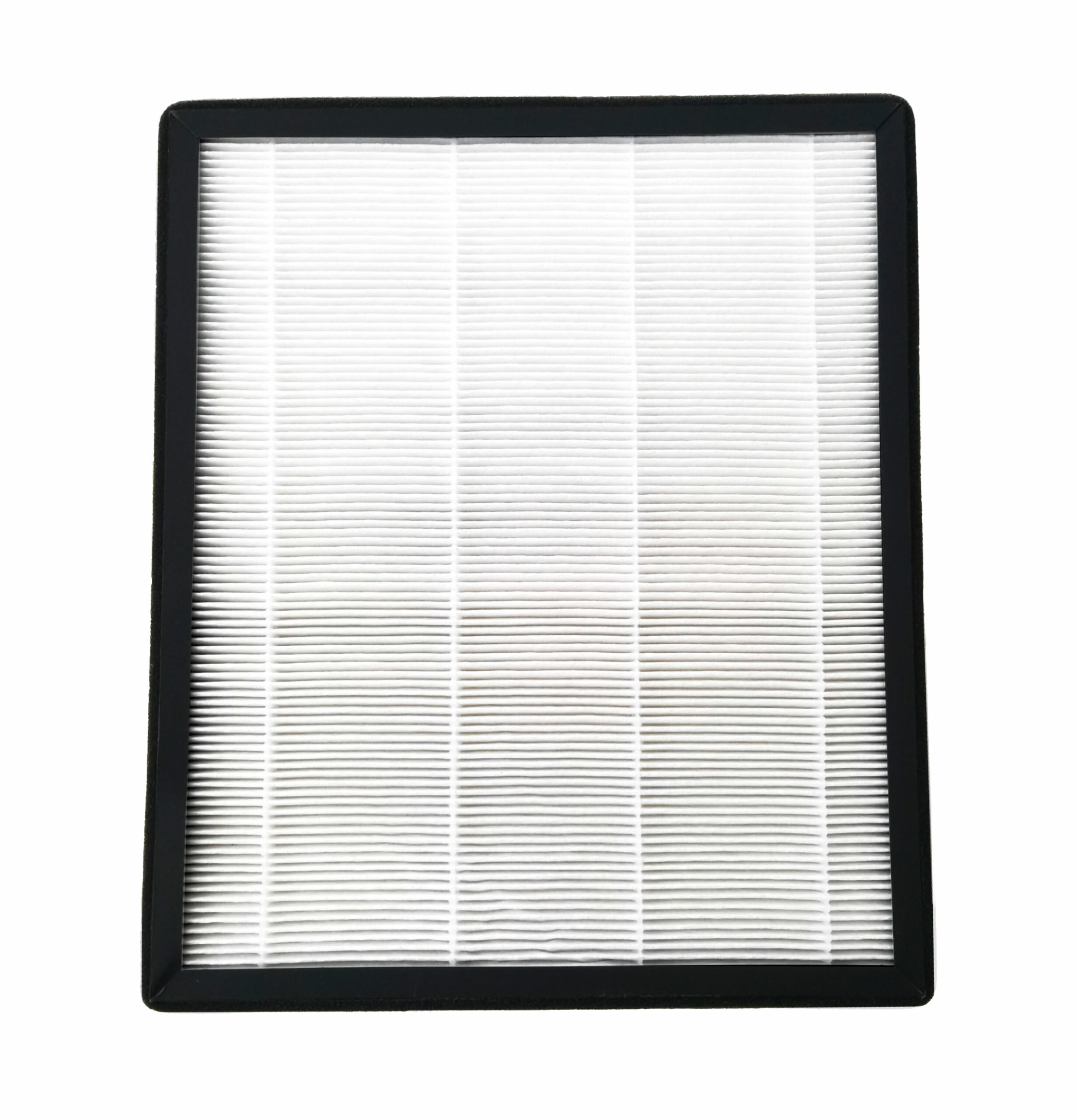 Filtru HEPA DF043 Health Kit, pentru dezumidificatoarele de aer Rohnson R91216, R91316, R92016, R91120, R91125, R91220